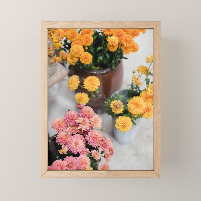 Chrysanthemum Blooms | Autumn Floral Still Life Mini Art Print Gallery Image 1