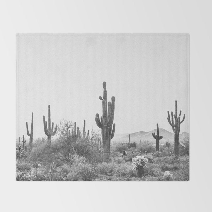 ARIZONA DESERT VI / Scottsdale Throw Blanket Gallery Image 2