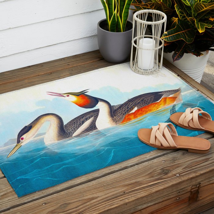 Great Crested Grebe Bird Outdoor Rug Gallery Image 2