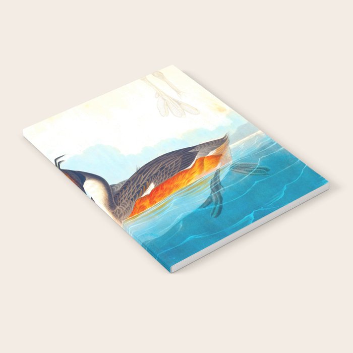 Great Crested Grebe Bird Notebook Gallery Image 1