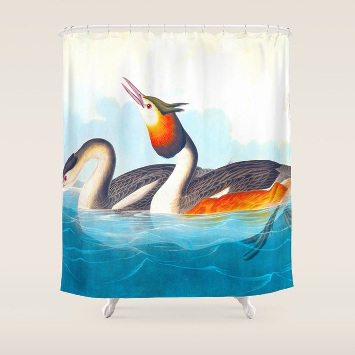 Great Crested Grebe Bird Shower Curtain Gallery Image 1