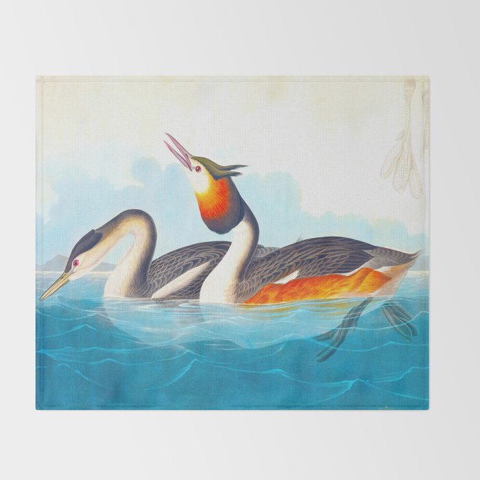 Great Crested Grebe Bird Throw Blanket Gallery Image 2