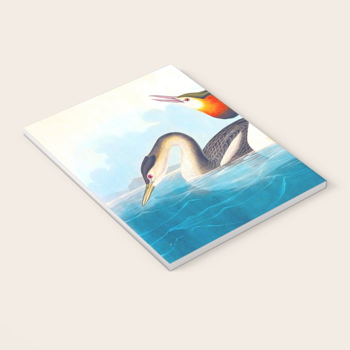 Great Crested Grebe Bird Notebook Gallery Image 3