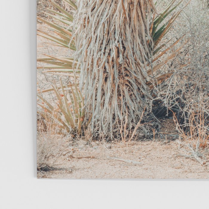 Joshua Tree Poster Gallery Image 3