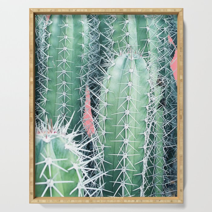 Cactus Up Close #society6 #decor #buyart Serving Tray Gallery Image 1
