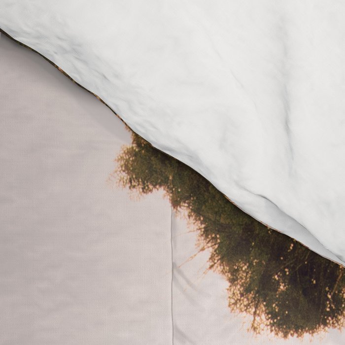 Sequoia Sunset Comforter Gallery Image 4