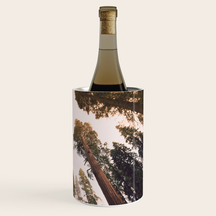 Sequoia Sunset Wine Chiller Gallery Image 3
