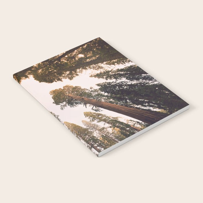 Sequoia Sunset Notebook Gallery Image 2