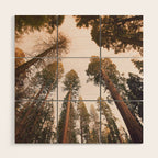 Sequoia Sunset Wood Wall Art Gallery Image 1
