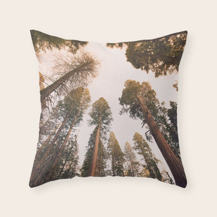 Sequoia Sunset Throw Pillow Gallery Image 6
