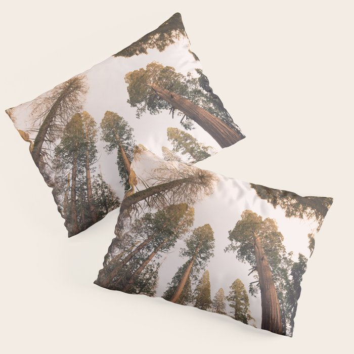 Sequoia Sunset Pillow Sham Gallery Image 3