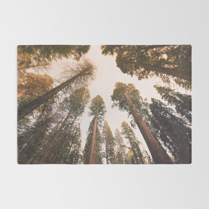 Sequoia Sunset Rug Gallery Image 2