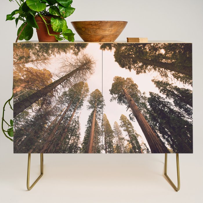 Sequoia Sunset Credenza Gallery Image 1