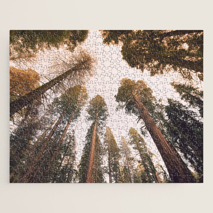 Sequoia Sunset Jigsaw Puzzle Gallery Image 1