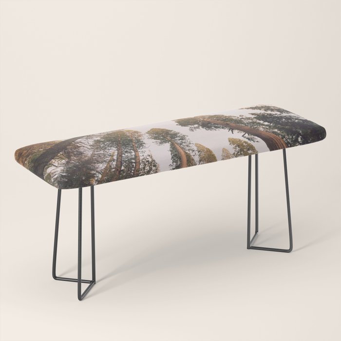 Sequoia Sunset Bench Gallery Image 1