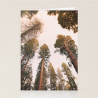 Sequoia Sunset Stationery Card Gallery Image 2