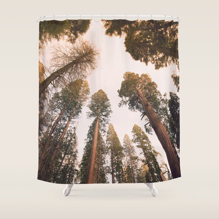 Sequoia Sunset Shower Curtain Gallery Image 1