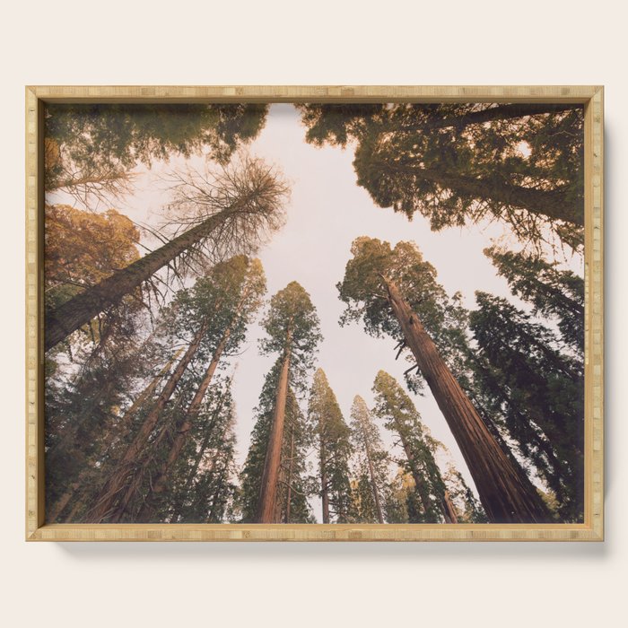 Sequoia Sunset Serving Tray Gallery Image 1