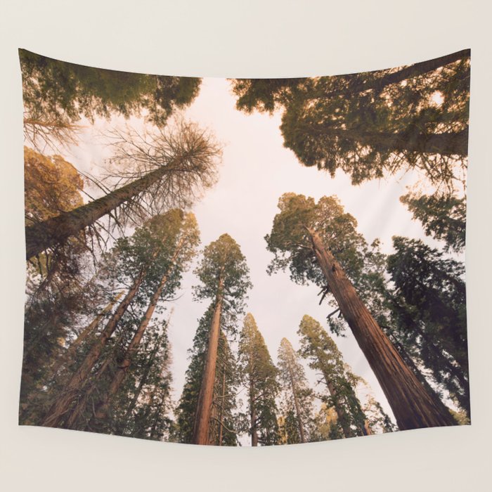 Sequoia Sunset Wall Tapestry Gallery Image 4