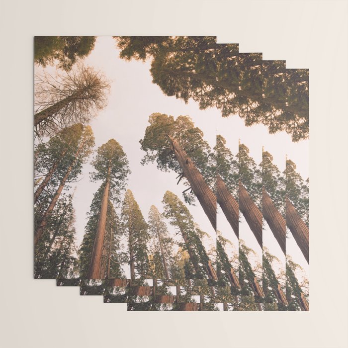 Sequoia Sunset Wrapping Paper Gallery Image 3