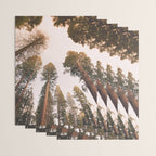 Sequoia Sunset Wrapping Paper Gallery Image 3