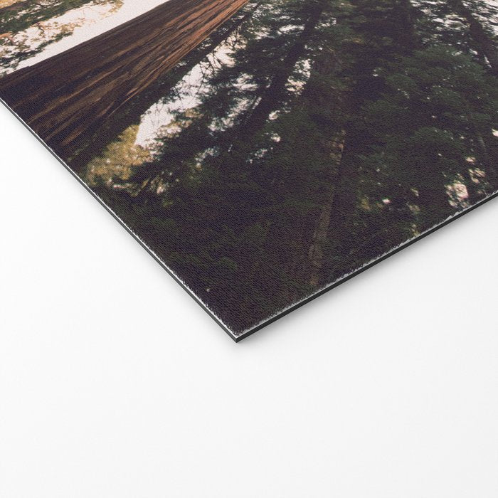 Sequoia Sunset Welcome Mat Gallery Image 2
