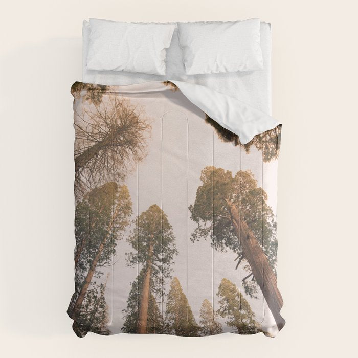 Sequoia Sunset Comforter Gallery Image 6