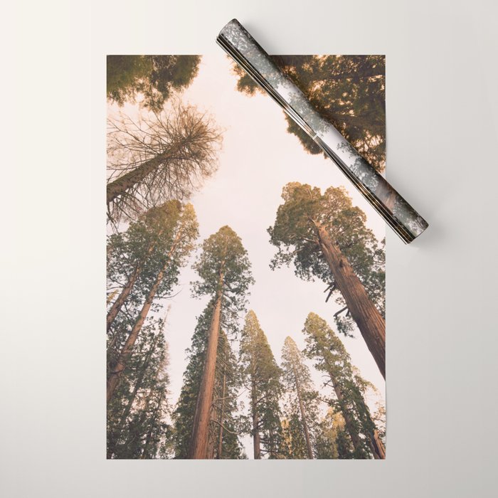 Sequoia Sunset Wrapping Paper Gallery Image 1