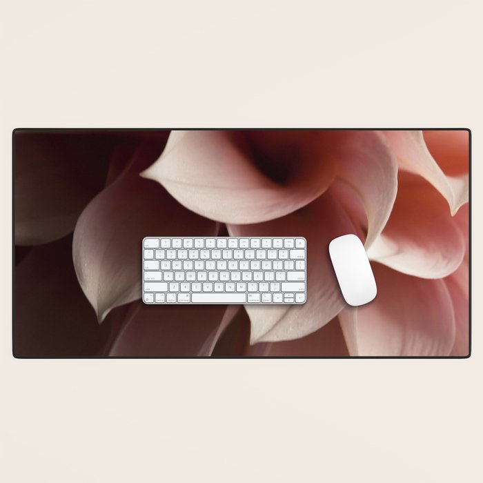 Unfolding - rose pink flower photograph dahlia botanical art print floral Desk Mat Gallery Image 1
