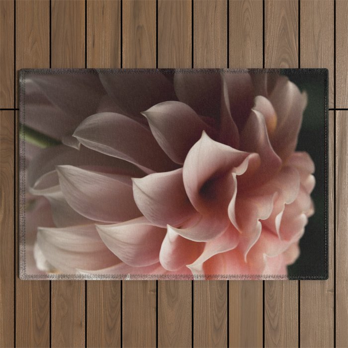 Unfolding - rose pink flower photograph dahlia botanical art print floral Outdoor Rug Gallery Image 1
