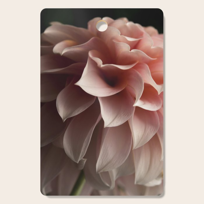 Unfolding - rose pink flower photograph dahlia botanical art print floral Cutting Board Gallery Image 1