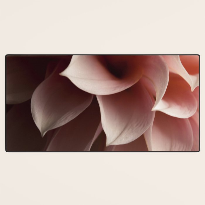 Unfolding - rose pink flower photograph dahlia botanical art print floral Desk Mat Gallery Image 3