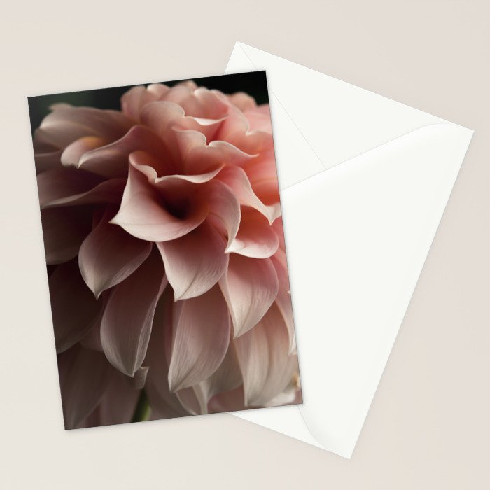 Unfolding - rose pink flower photograph dahlia botanical art print floral Stationery Card Gallery Image 2