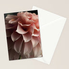 Unfolding - rose pink flower photograph dahlia botanical art print floral Stationery Card Gallery Image 2