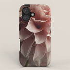 Unfolding - rose pink flower photograph dahlia botanical art print floral iPhone Case Gallery Image 1