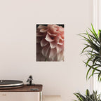 Unfolding - rose pink flower photograph dahlia botanical art print floral Poster Gallery Image 2