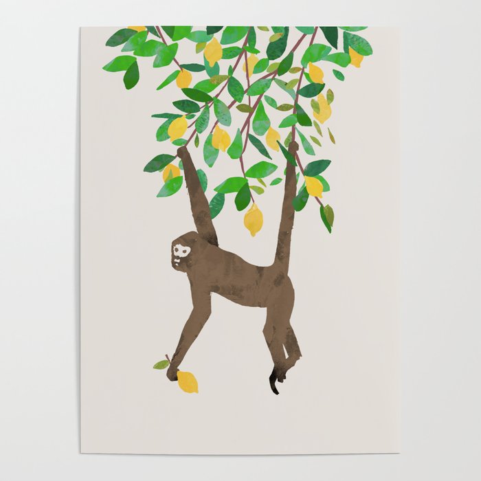 Monkey on lemon tree Poster Gallery Image 1