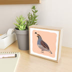 Quail Mini Art Print Gallery Image 2