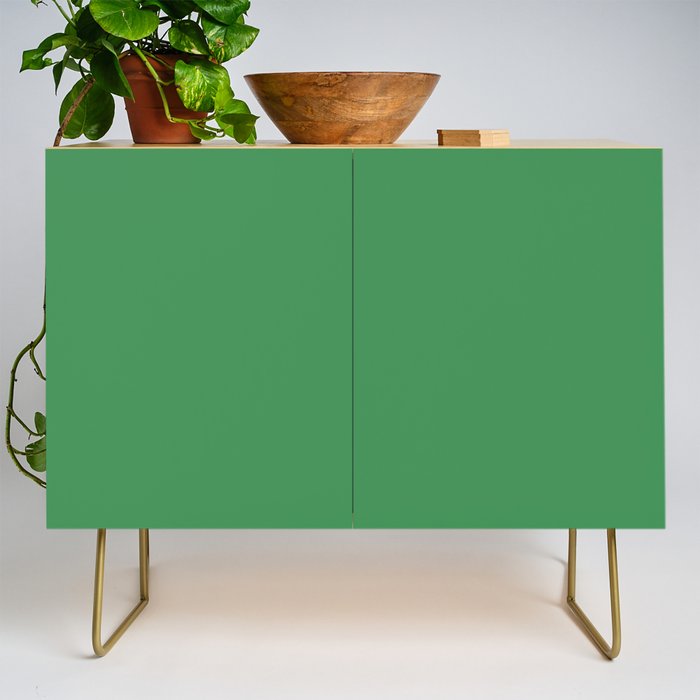 Green Solid Color Credenza Gallery Image 1