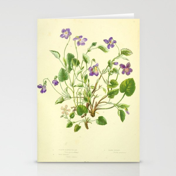 Violet by Anne Pratt, 1800s (benefitting The Nature Conservancy) Stationery Card Gallery Image 2