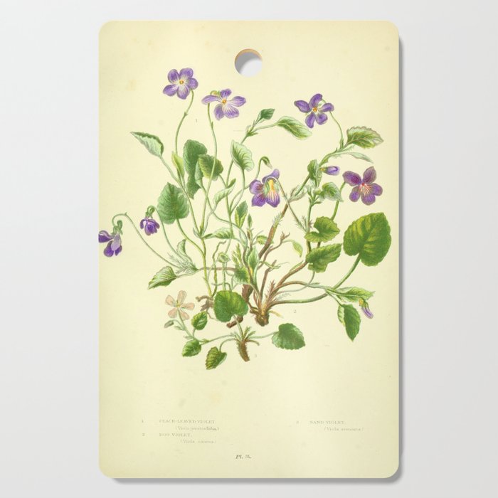 Violet by Anne Pratt, 1800s (benefitting The Nature Conservancy) Cutting Board Gallery Image 1