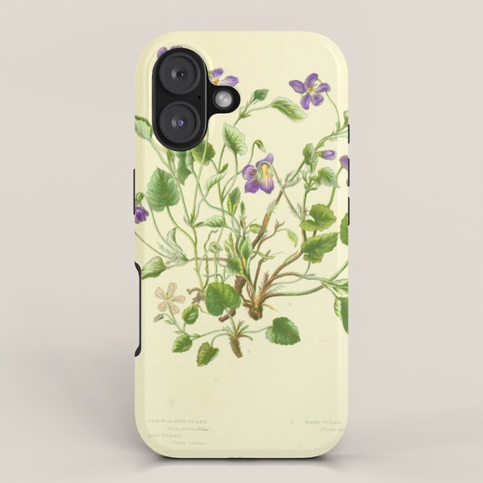 Violet by Anne Pratt, 1800s (benefitting The Nature Conservancy) iPhone Case Gallery Image 1