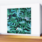 Monstera leaves Wall Mural Gallery Image 2
