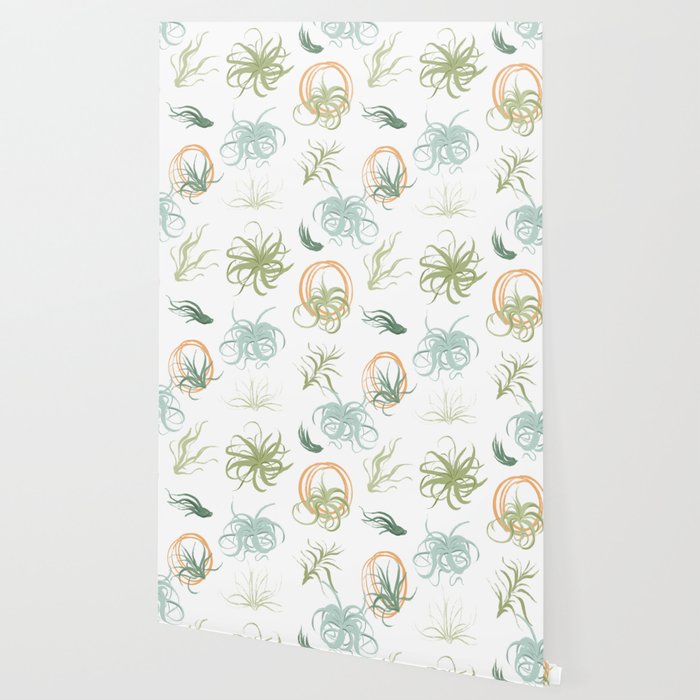 Air Plants Wallpaper Gallery Image 2
