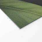 Veiled by Bloom 2 Welcome Mat Gallery Image 2