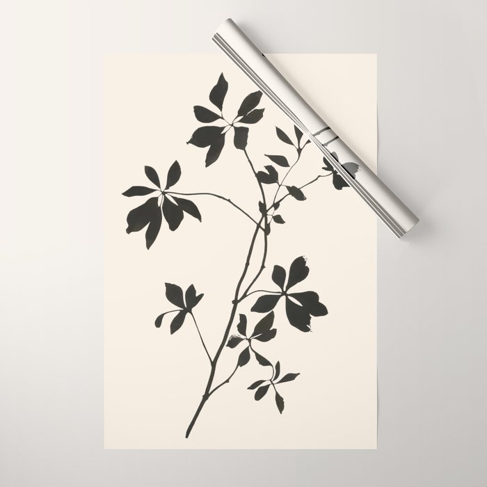 Botanical Silhouette I Wrapping Paper Gallery Image 1