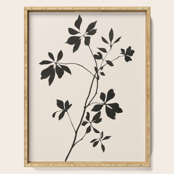 Botanical Silhouette I Serving Tray Gallery Image 1