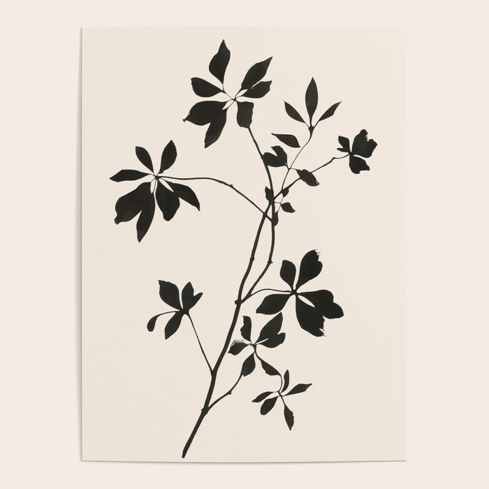 Botanical Silhouette I Poster Gallery Image 1