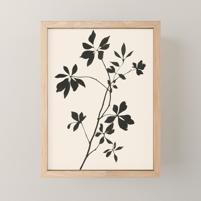 Botanical Silhouette I Mini Art Print Gallery Image 1