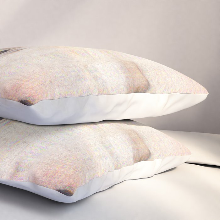 Digitex Triacotine 29 Pillow Sham Gallery Image 3